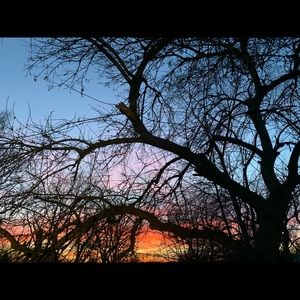 Meet your Posher, Abbi